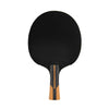 Dunlop Evolution Table Tennis Bat for Intermediate Players