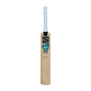 GM Diamond 202 Grade 1 Kashmir Willow Cricket Bat