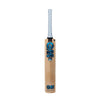 GM Diamond 202 Kashmir Willow Cricket Bat Grade-1 Precovered