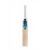 Gunn & Moore Diamond 606 Cricket Bat made from English Willow Wood