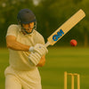 Grade-3 GM Cricket Bat made from English Willow Wood in Blue with White HEX Handle