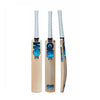 GM Diamond 606 English Willow Cricket Bat Blue & White