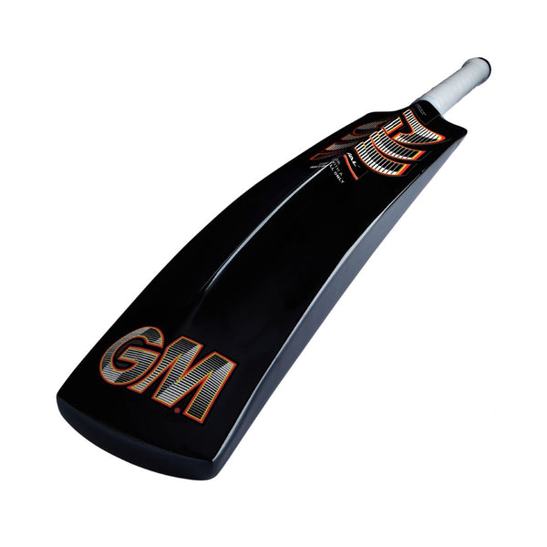 GM Rival Softball Cricket Bat – Fibreglass Softball & Tape Ball