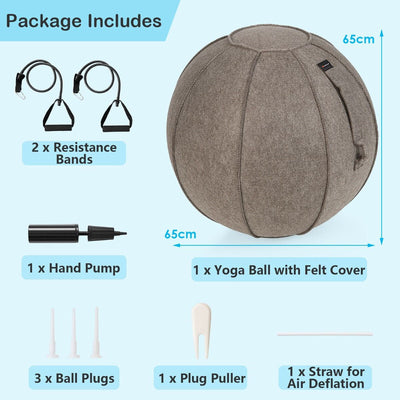 Exercise Ball Set Package Includes